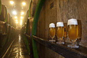 beertrip_2.png